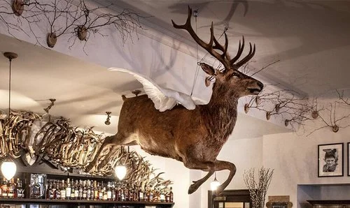 # Whisky, Wool, and Wonders: My Highland Retreat a...