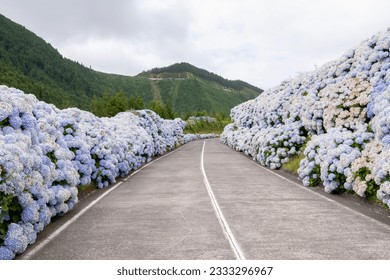 Canyoning in Ribeira dos Caldeirões Natural Park