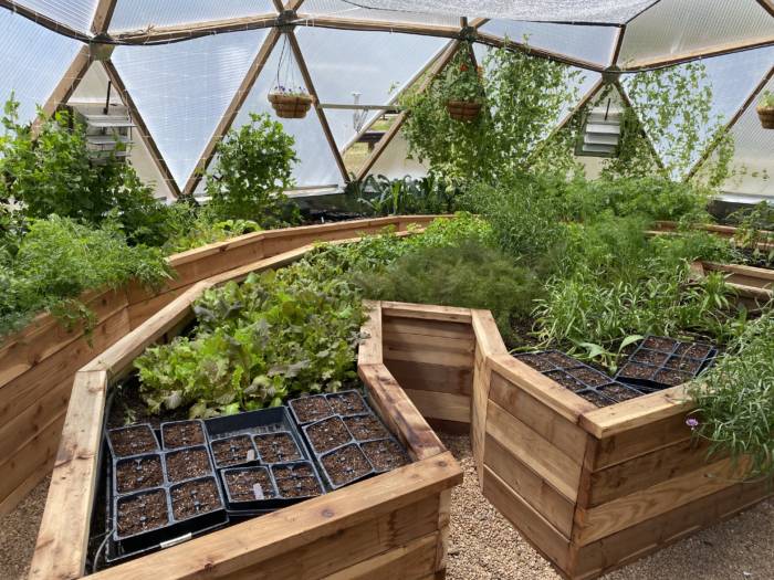 A classic raised garden bed with plants.