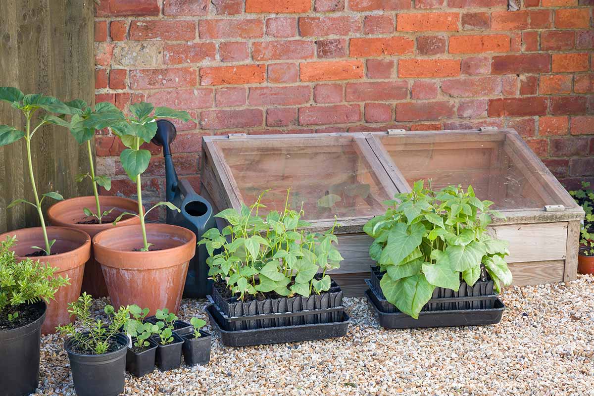 Diagram illustrating parts simple cold frame