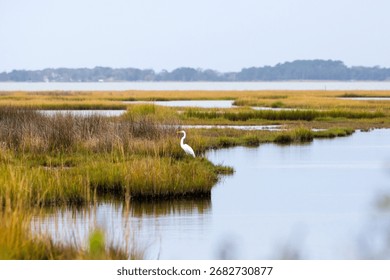 Cherry Hill Park Campground Map