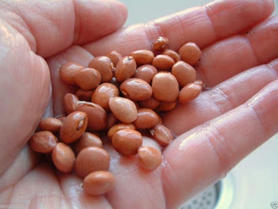 charts comparing big ag vs small seed companies