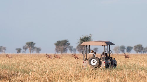 Teenagers relocating turtle eggs on Pacuare Beach, Costa Rica
