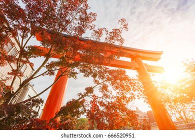A serene pathway through the Arashiyama Bamboo Grove, with towering bamboo stalks creating dappled sunlight and a sense of tranquility. The forest provides a peaceful escape from the city.