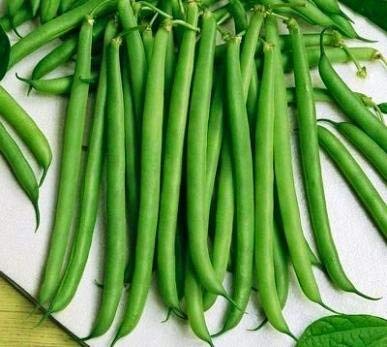 Bean-Bush-Snap-Slenderette