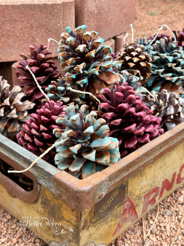 Foraging basket pinecones leaves forest floor