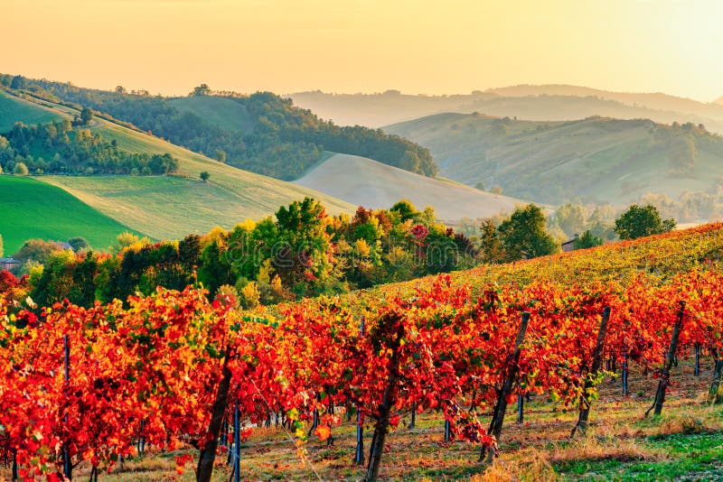 A charcuterie board piled high with thinly sliced prosciutto, accompanied by crusty bread and Parmesan cheese.