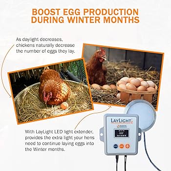 mounting 100 watt solar panel chicken coop roof