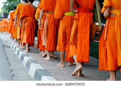 A medium shot of a bear interacting with an enrichment toy, captured with natural light and a telephoto lens to maintain a respectful distance.