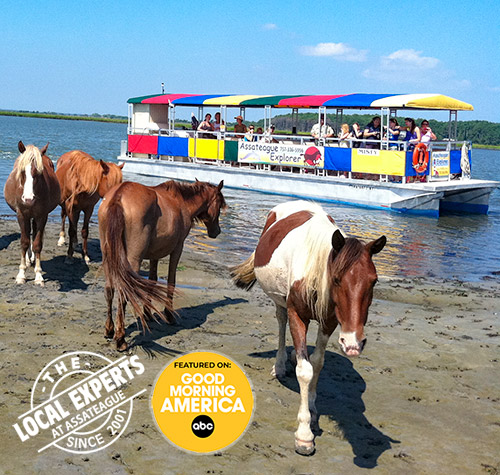 Solar shower hanging from a tree at a campsite