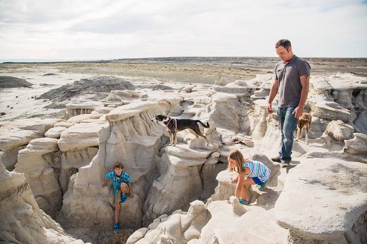 A field of hoodoos, also known as tent rocks, in the Bisti/De-Na-Zin Wilderness, New Mexico. The landscape is desolate and alien-looking.