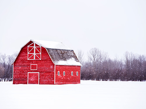 A serene image of a rural landscape featuring fields, trees, and a charming farmhouse nestled amidst nature's beauty.