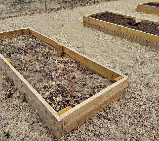 Image of filling the raised bed with soil