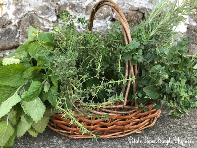 Fresh mint leaves