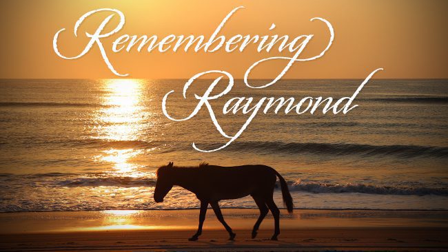 # Escape to the Wild Beauty of the Outer Banks: A...