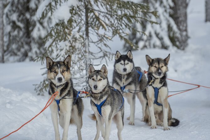 A steaming sauna with snow visible through the window, or someone emerging from an ice hole