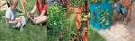 Unlock Free Water: Build a Rainwater Harvesting...