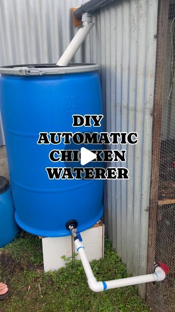 Repurposed Rainwater: 5 Unexpected Ways to Save...