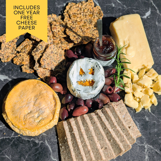 Email marketing interface showing segmentation options