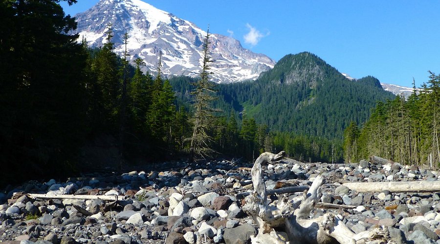 A bright orange Counter Assault bear canister sitting on a mossy forest floor next to camping gear.
