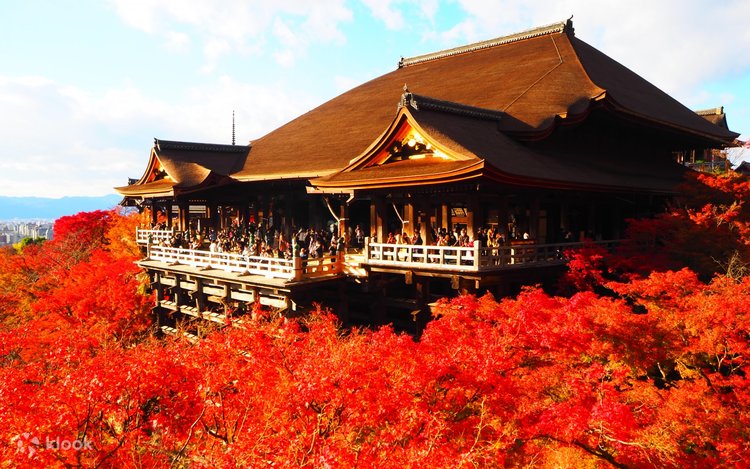 Shojin Ryori Preparation