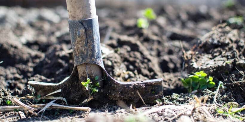 Share Your Homesteading Genius: Craft a DIY Guid...
