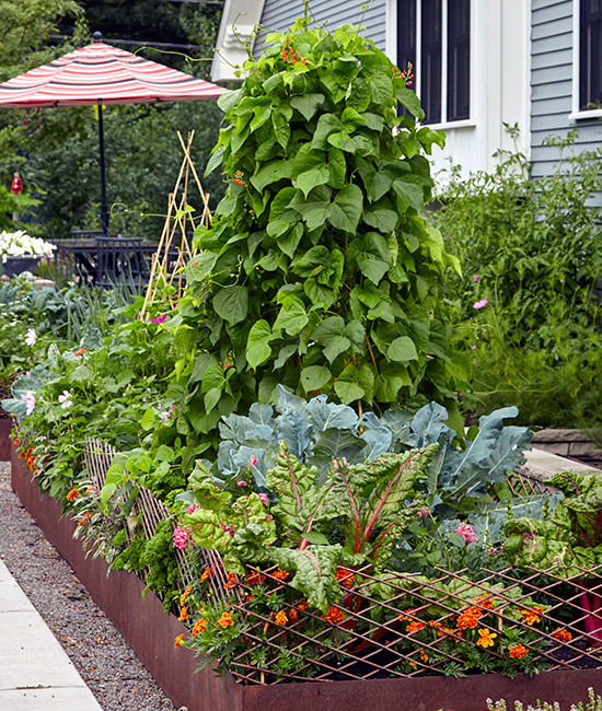 A vertical vegetable garden on a balcony