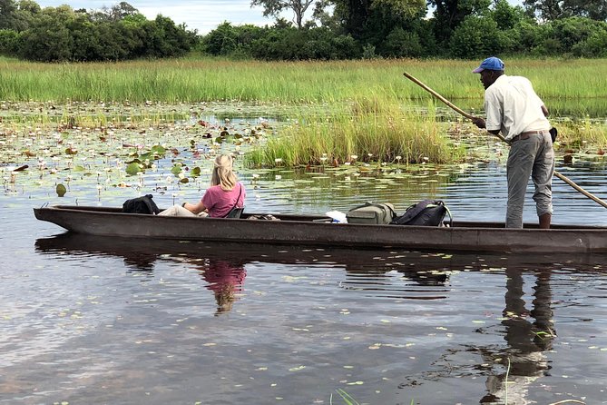 Okavango Delta landscape with mokoro in the foreground