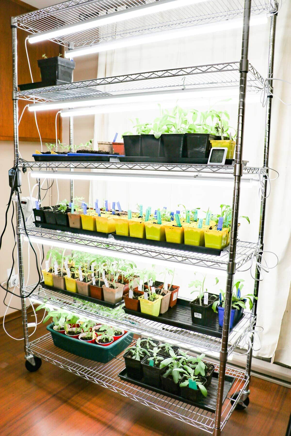 Autumn's Embrace: Preparing Your Seed Starting Sta...