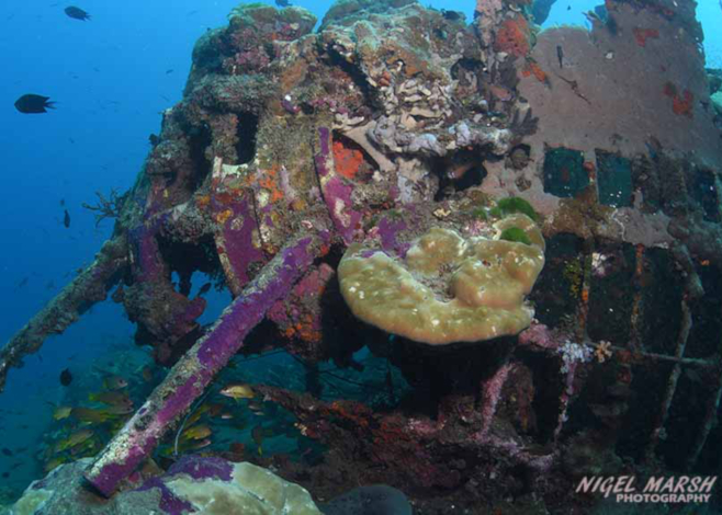 # Guadalcanal Travel: Diving Wrecks, Shark Calling...
