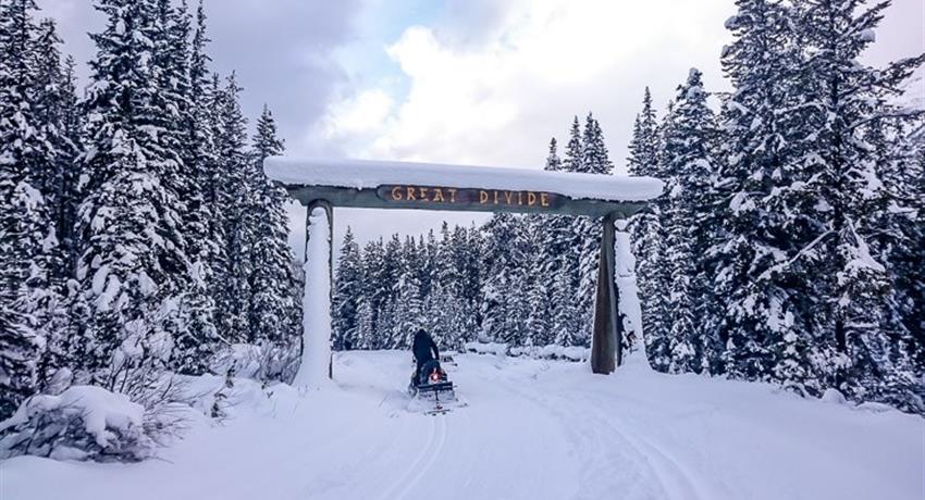 Dog sled team racing through the snow