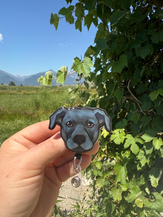 Cat with pet portrait