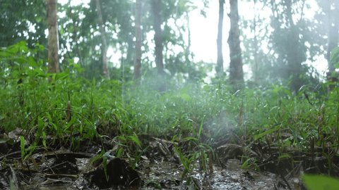 Milanovac Lake reflection, Plitvice Lakes National Park