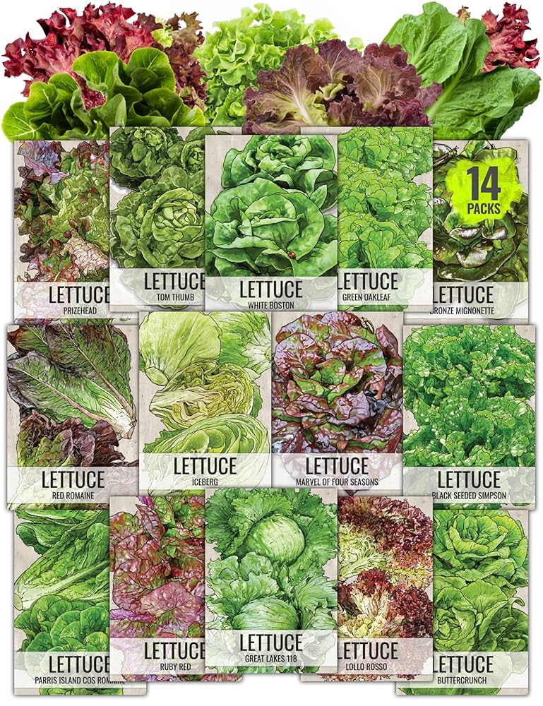 diverse group trading seed packets joyfully