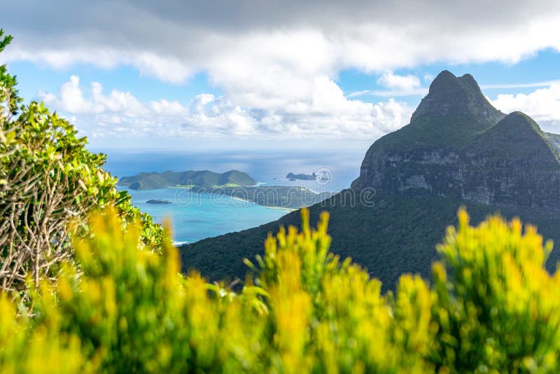 A hiker on Mount Gower, Lord Howe Island, shrouded in mist, showcasing the challenging terrain and lush vegetation.