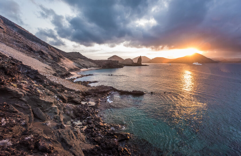 A lush rainforest landscape