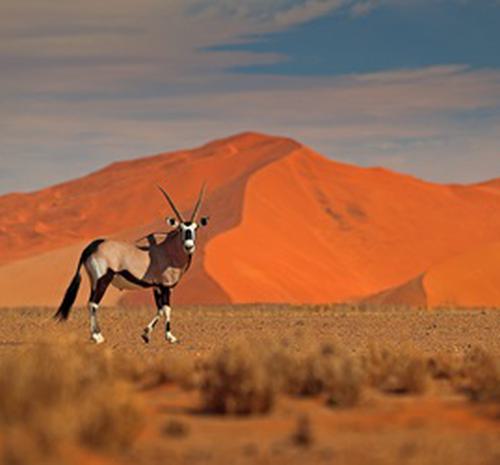 Namibia Tours