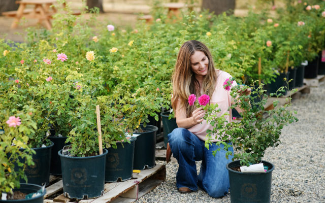 A diverse array of flowers at Floret Flowers, illustrating the beauty of natural gardening.