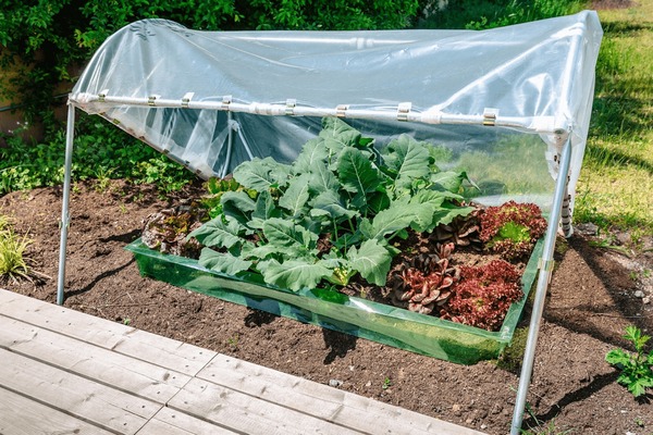 DIY plastic greenhouse