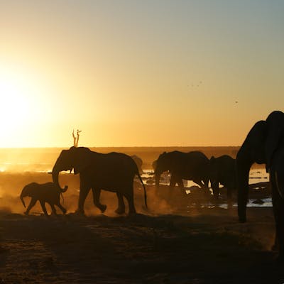 A wide-angle shot of the lodge blending seamlessly into the landscape, taken during golden hour.