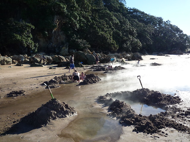 People digging in the sand at Hot Water Beach, New Zealand, with steam rising from the hot water pools.