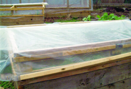 Reclaimed lumber