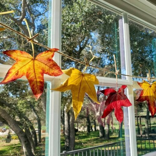 Bringing the Autumn Harvest Indoors: Simple and...