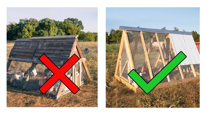 Chicken Tractor Base and Frame