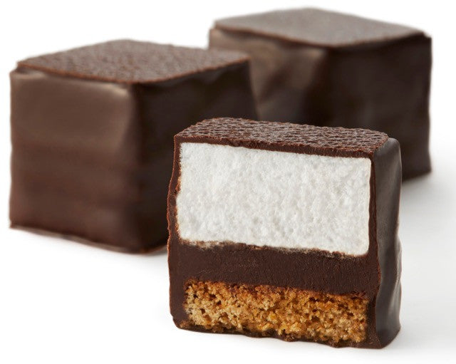 Close-ups of the whelks and clamshells they found