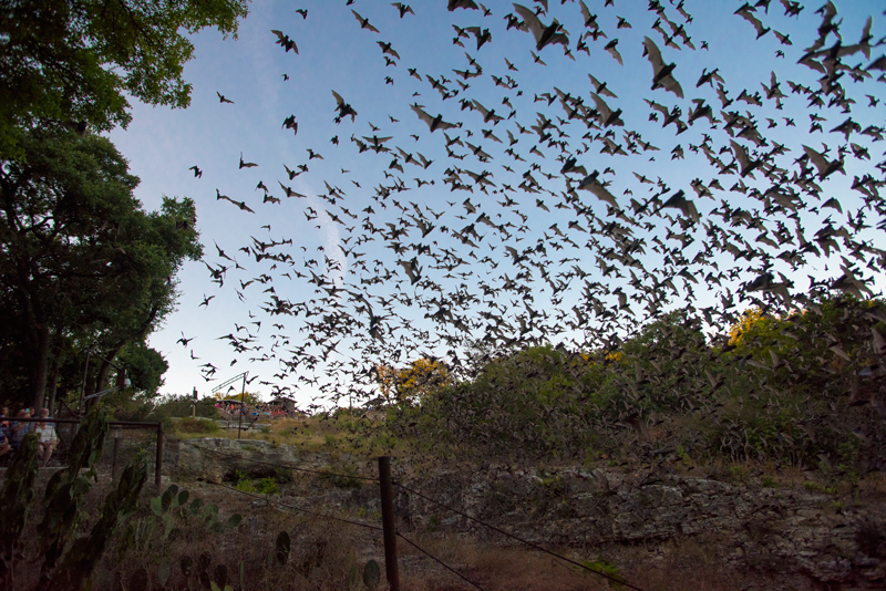 Entrance of Caprock Canyon State Park