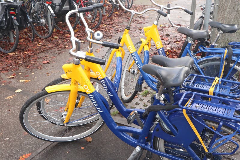 Person enjoying a Heineken beer by the Amsterdam canals