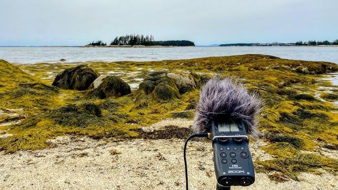 Bare feet sinking into the sands of Shelly Beach, close-up, showing the 