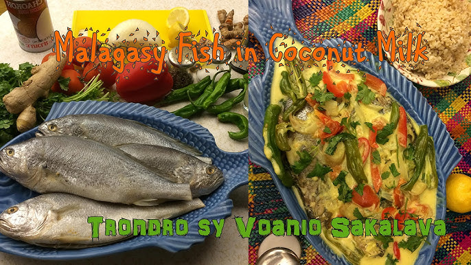 A large baobab tree silhouetted against the sunset on the coast of Nosy Be
