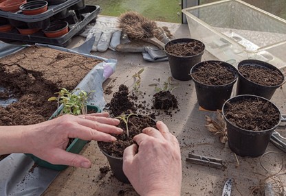 lasagna gardening layers compost mulch